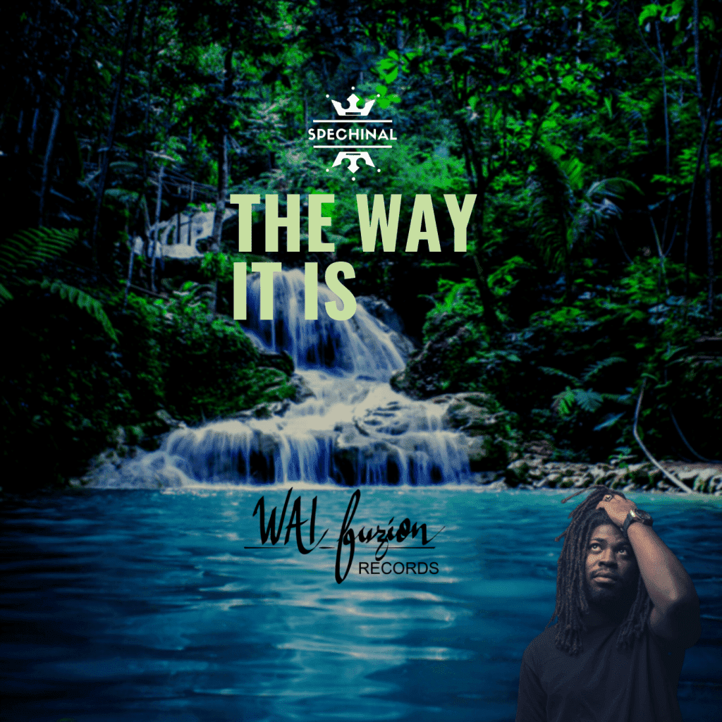 Spechinal The Way It Is 1 1024x1024comp